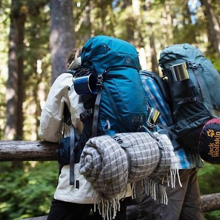 Bed And Breakfast - Die Aelplersuit Fuer Backpackers - Rucksacktouristen Im Berghuesli Linthal エクステリア 写真