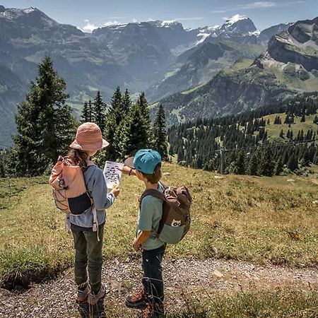 Bed And Breakfast - Die Aelplersuit Im Berghuesli Fuer Backpackers Und Familien, Ganz Einfach - Ganz Unkompliziert-Ganz Relaxd Linthal エクステリア 写真