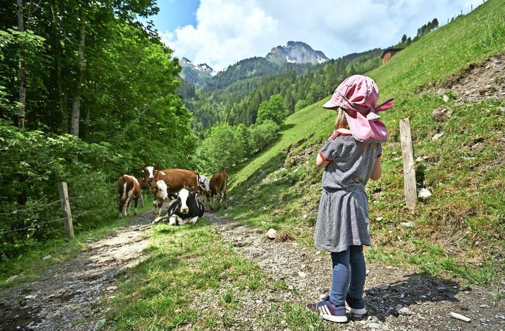 Bed And Breakfast - Die Aelplersuit Fuer Backpackers - Rucksacktouristen Im Berghuesli Linthal エクステリア 写真