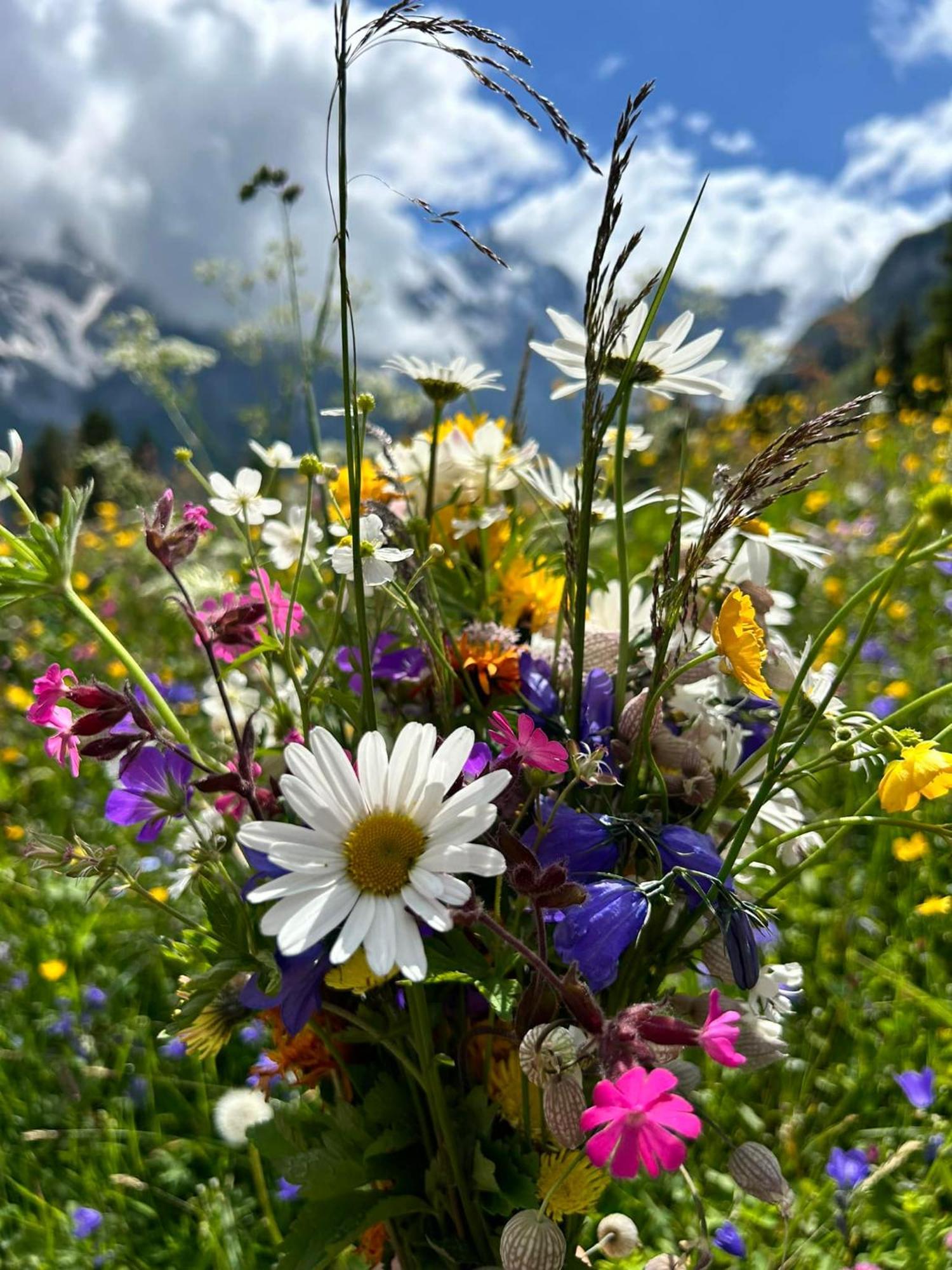 Bed And Breakfast - Die Aelplersuit Fuer Backpackers Im Berghuesli Linthal エクステリア 写真
