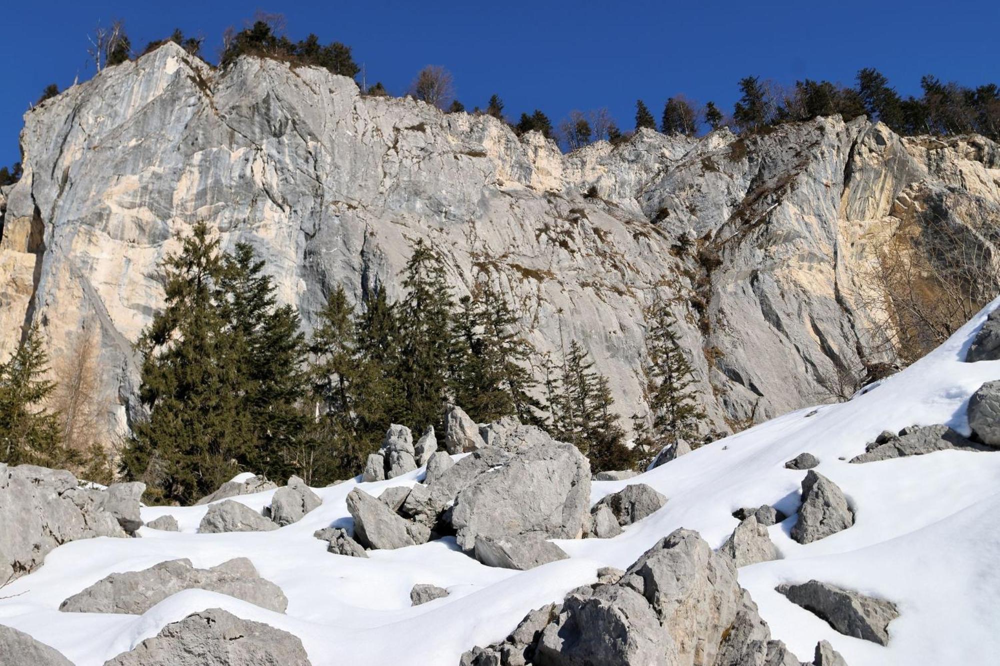 Bed And Breakfast - Die Aelplersuit Fuer Backpackers Im Berghuesli Linthal エクステリア 写真