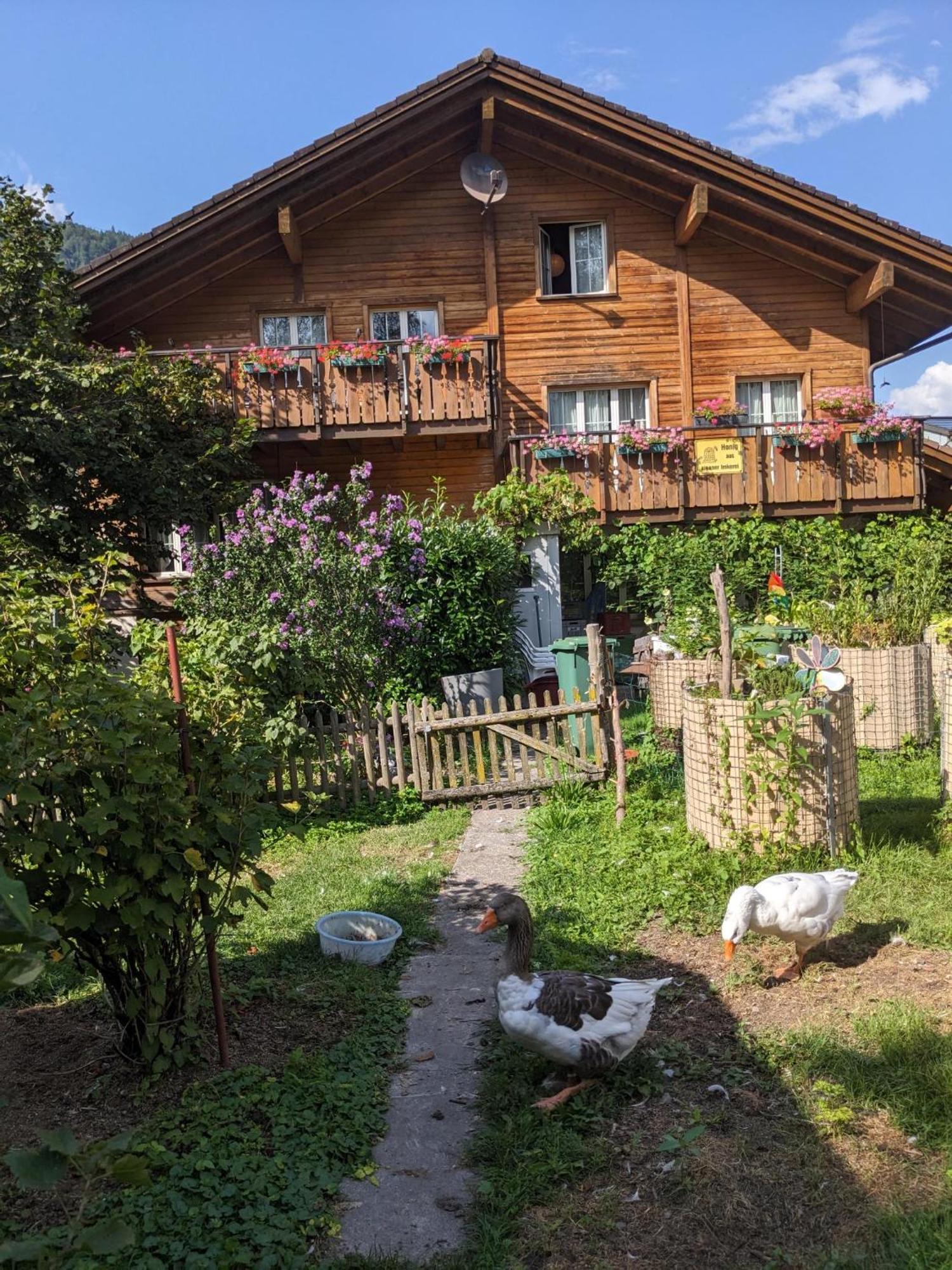 Bed And Breakfast - Die Aelplersuit Fuer Backpackers - Rucksacktouristen Im Berghuesli Linthal エクステリア 写真
