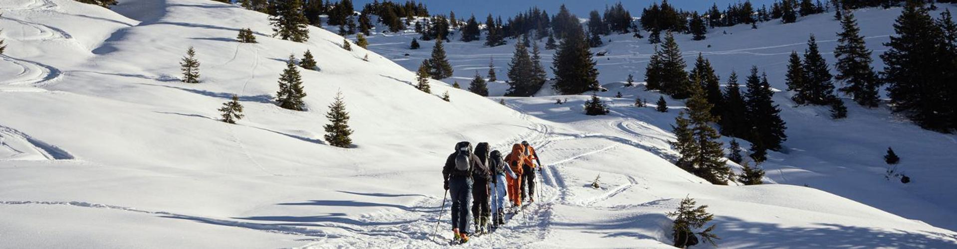 Bed And Breakfast - Die Aelplersuit Fuer Backpackers - Rucksacktouristen Im Berghuesli Linthal エクステリア 写真